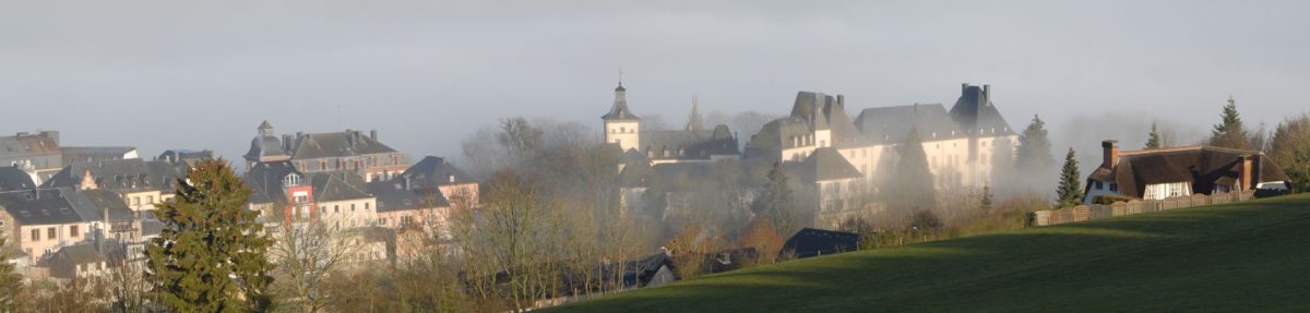 wiltz-1-1200x287.jpeg